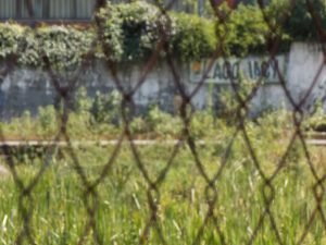 lagoiacy-300x225 lagoiacy