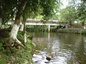 riodonunes-300x225 riodonunes