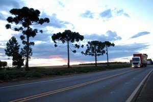 DSC_1038-300x201 Faça um teste online de direção defensiva antes de pegar a estrada.