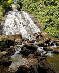 cascata_cachoeira_galo-241x300 cascata_cachoeira_galo