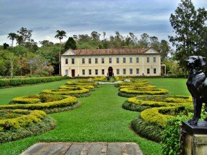 18120582-300x225 18120582