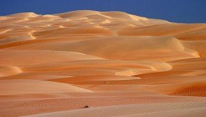 22b3bebf-ab98-433c-ab99-e3cef1fac9a6-300x170 22b3bebf-ab98-433c-ab99-e3cef1fac9a6