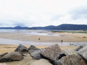 20190914_0840150-300x225 20190914_084015(0)