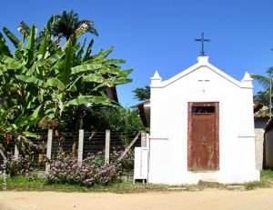 Generosa-300x231 Generosa