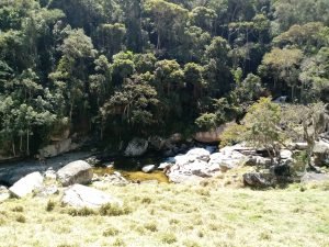 20170908_112858-300x225 20170908_112858