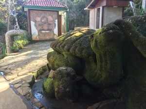 IMG_2272-300x225 IMG_2272