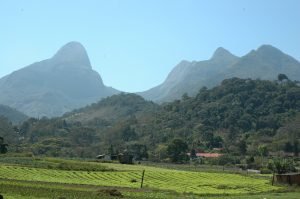 Tere-fri-2-300x199 Tere-fri