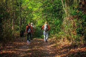 01_11_Chapada_Veadeiros_embratur_0158-300x200 01_11_Chapada_Veadeiros_embratur_0158