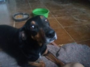 20160325_165242-300x225 20160325_165242