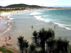 pero_5-300x225 pero_5