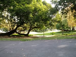 20171218_083109-300x225 20171218_083109