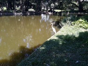 20190222_110842-300x225 20190222_110842