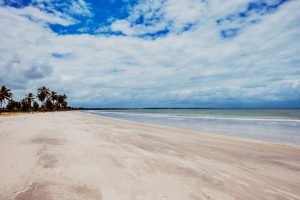 08_02_18_NE_JPessoa0085-300x200 08_02_18_NE_JPessoa0085