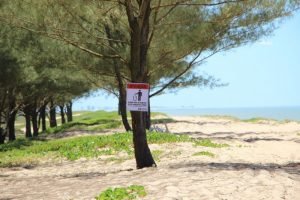 97_praia--300x200 97_praia-