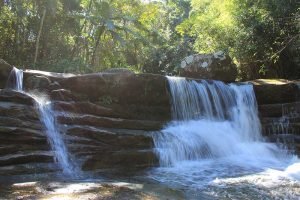 cachoeirasana-300x200 cachoeirasana