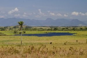 praia_carapebus-4-300x200 praia_carapebus-4