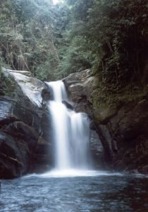 pocotenebroso-210x300 pocotenebroso