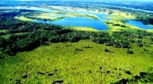Bioma-pantanal-300x166 Bioma-pantanal