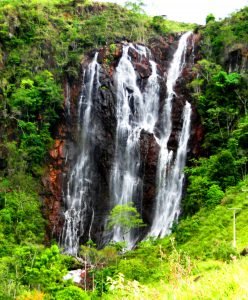 boa_nova-248x300 boa_nova