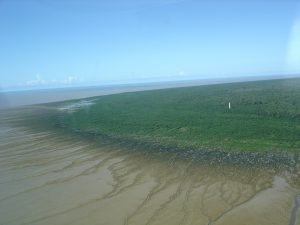 cabo_orange-300x225 cabo_orange