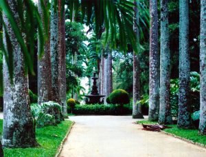 jardimbotanico-300x229 jardimbotanico