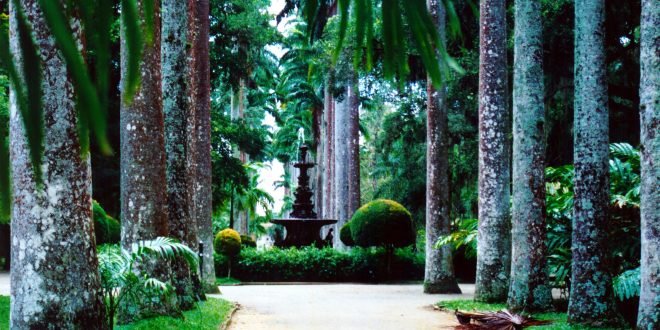 jardimbotanico