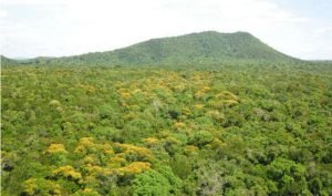 parnadovirua-300x177 parnadovirua