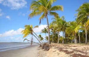 praiadograuca-300x192 Caravelas