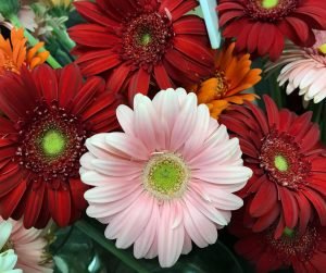 home-flowers-300x251 home-flowers