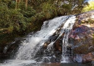 349401_838343_cachoeira_do_lajeado___campos_do_jordao-300x213 349401_838343_cachoeira_do_lajeado___campos_do_jordao