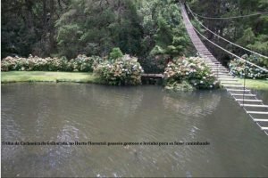 349401_838344_trilha_da_cachoeira_da_galharada___horto_florestal-300x200 349401_838344_trilha_da_cachoeira_da_galharada___horto_florestal