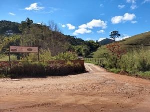 349401_838346_triulha_do_zig_zag-300x225 349401_838346_triulha_do_zig_zag