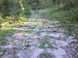 calcadadepedrasbomretiro-300x225 calcadadepedrasbomretiro