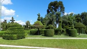 victor-graeff-praca-300x169 victor-graeff-praca