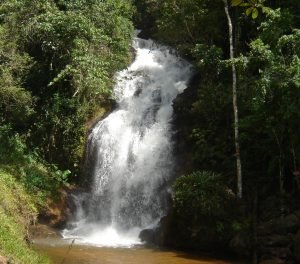 cachoeiradoquintino-300x264 cachoeiradoquintino