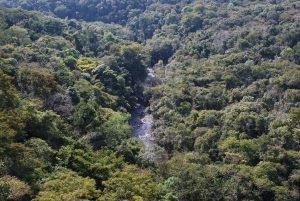 eecitapeva-300x201 eecitapeva