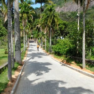 hortomadalena-300x300 hortomadalena