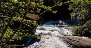 maromba4991-300x160 maromba4991