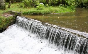parque-mananciais-campos-jordao-300x186 parque-mananciais-campos-jordao