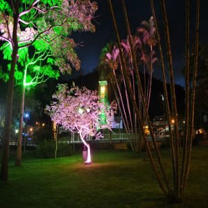 pracafrouthemadalena-300x300 pracafrouthemadalena