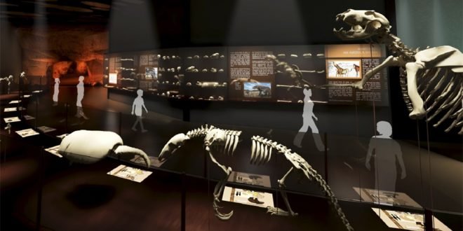tamanho dinossauros