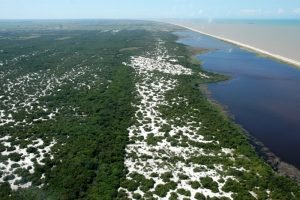 10_jurubatiba-300x200 10_jurubatiba