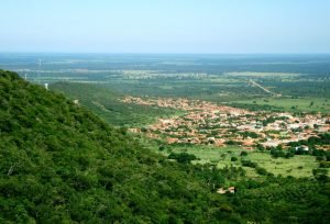 palmasdemontealto-300x204 palmasdemontealto