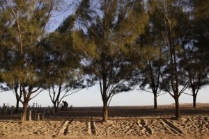 quissama_praia_do_visgueiro-300x200 quissama_praia_do_visgueiro