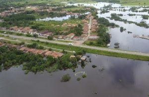 araguanato-300x196 araguanato