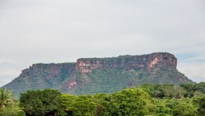 carolinama-300x170 carolinama