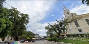 sapucaia-300x149 sapucaia