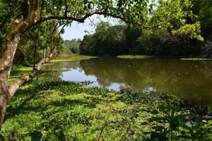 fenixpr-300x200 fenixpr