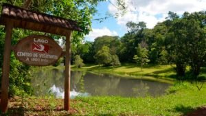 luiziana-300x169 luiziana