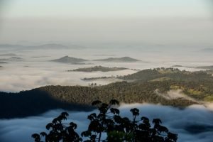 notbrumadinho-300x200 notbrumadinho